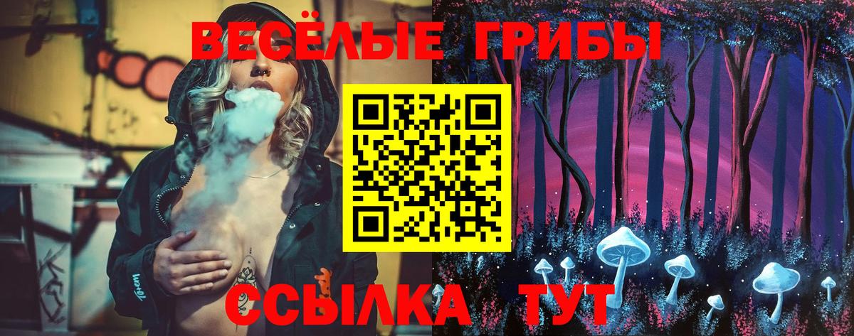Галлюциногенные грибы Magic Shrooms Мытищи